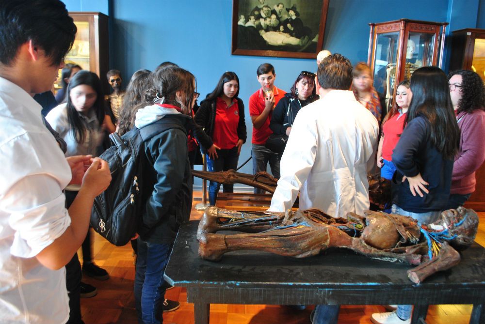 Visita al Museo de Anatomía de la Facultad de Medicina