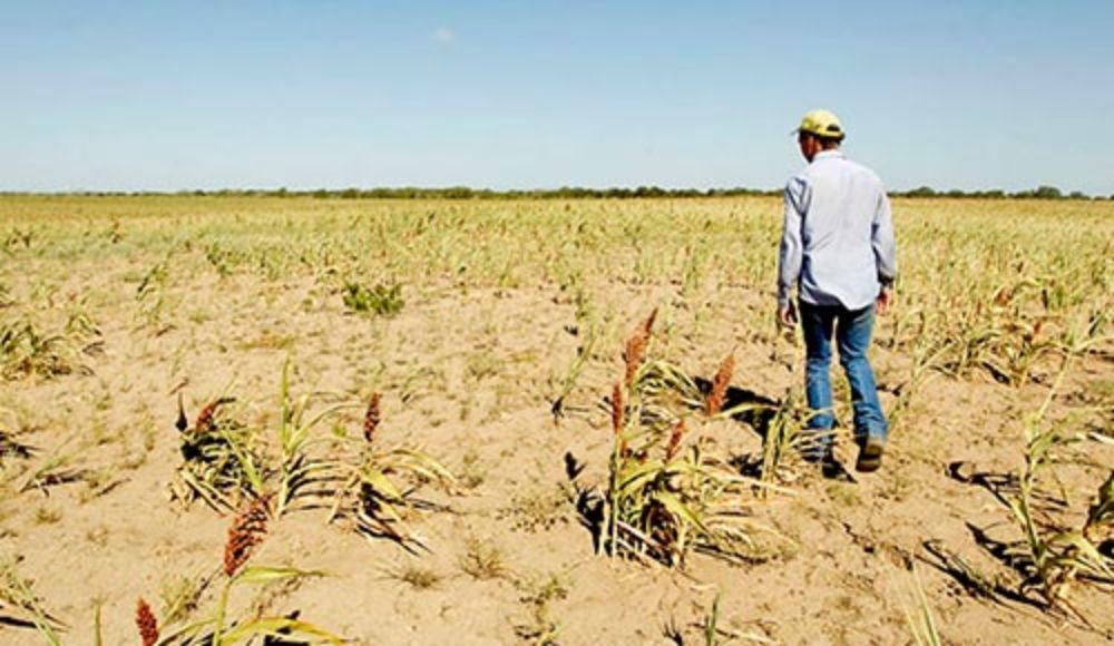 La condición de sequía que amenaza la producción agrícola se hizo aún más crítica con las denuncias que culpan a los palteros por la escasez hídrica.