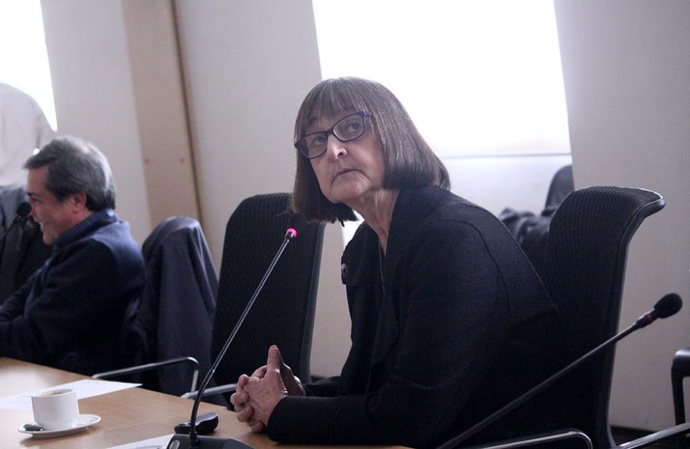 La vicerrectora de Asuntos Académicos, Rosa Devés, expuso las conclusiones y proyectos asociados en los ámbitos de aseguramiento de la calidad y desarrollo académico.