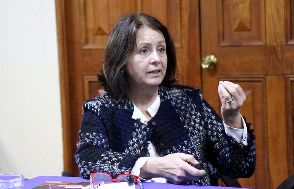 La directora de Pregrado, Leonor Armanet, indicó que "la Universidad ha incrementado su matrícula un 28 por ciento y ha mantenido una retención de estudiantes de primer año en torno al 87 por ciento".