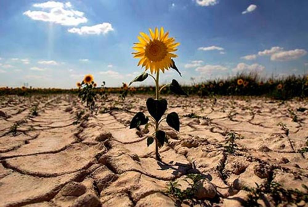 Abordar legislativamente el cambio climático es una decisión política necesaria pero compleja, que debe asegurar metas y, por ello, incluir ciertos elementos fundamentales.