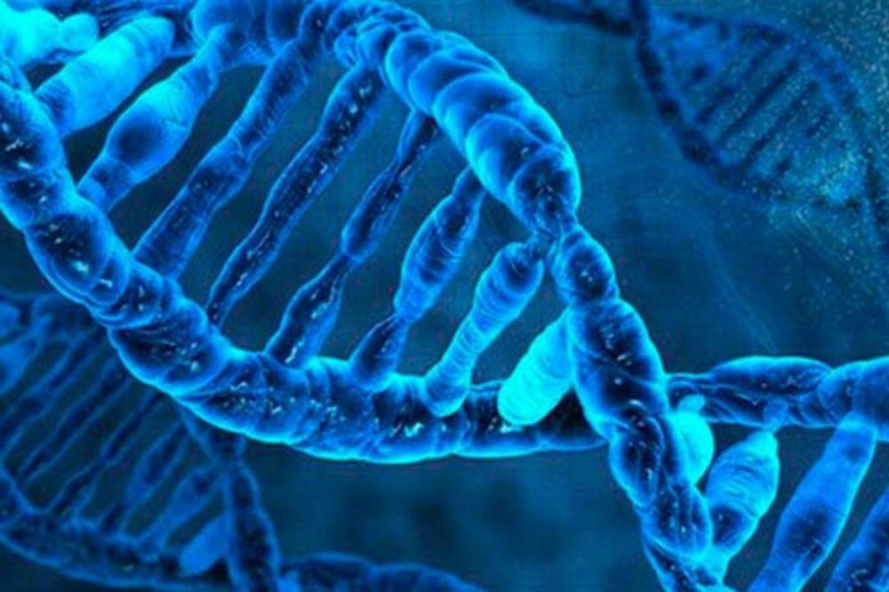 El estadounidense James Allison y el japonés Tasuku Honjo, denominados "padres" de la inmunoterapia oncológica, recibieron el Nobel de Medicina 2018.