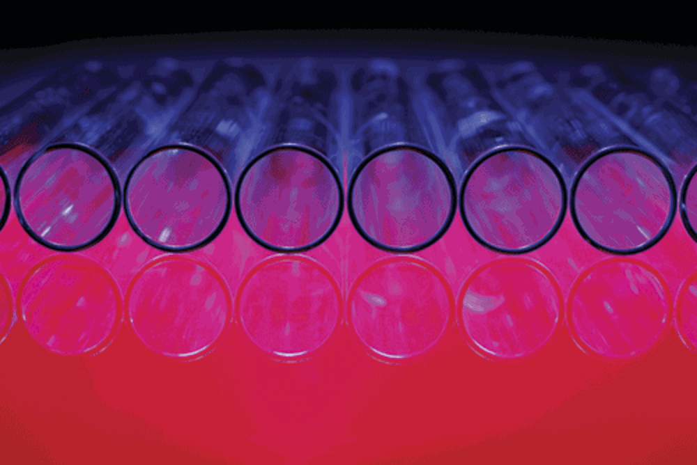 La U. de Chile adjudicó recursos que permitirán formular un plan estratégico a partir de 2019, con el fin de generar un cambio cultural que fortalezca y empuje la investigación hacia la innovación.