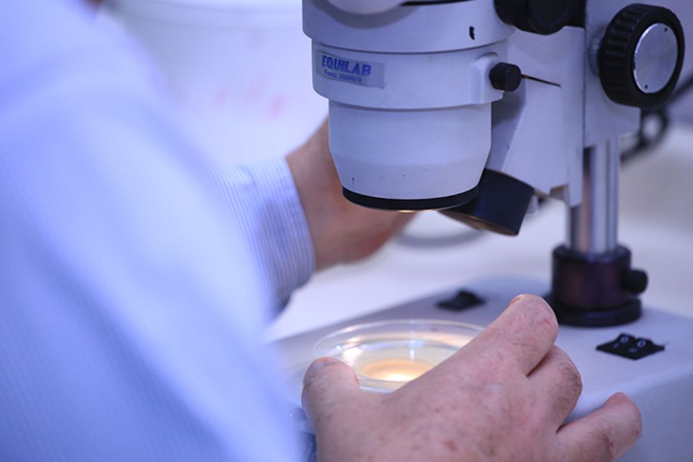 Por segundo año consecutivo, la U. de Chile lidera la adjudicación del Concurso FONDEQUIP, con cinco proyectos que implementarán equipamiento tecnológico de vanguardia.