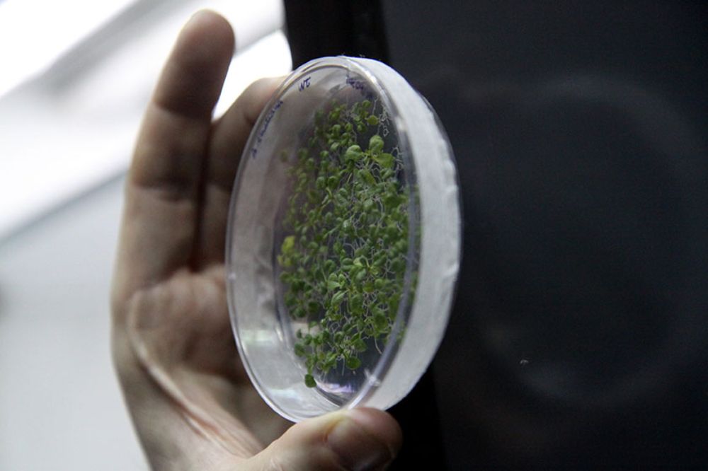 Por medio de su amplia formación, el Dr. Avendaño asumió que la infectología era un campo que debía atender para poder contribuir a la salud de los niños y niñas.