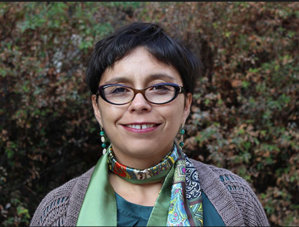 "Quienes estén interesados en conocer este proceso, van a poder informarse desde una mirada más objetiva, porque nosotros no somos una parte incumbente en el proyecto", afirmó Pilar Moraga.