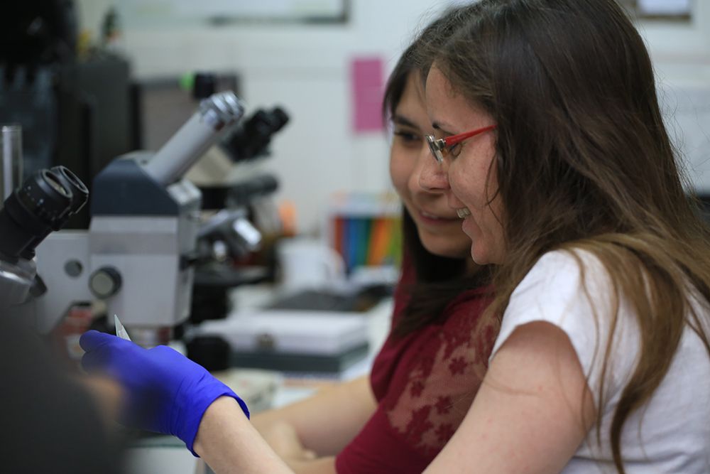 La Casa de Bello lideró los resultados del Concurso FONDECYT Regular 2019 con 101 proyectos adjudicados de un total de 518 seleccionados a nivel nacional.