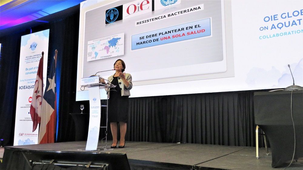 Betty San Martín, directora de Farmavet y académica de Favet, señaló lo importante que fue capacitar a los profesionales sobre el uso adecuado de los antimicrobianos en la salmonicultura. 