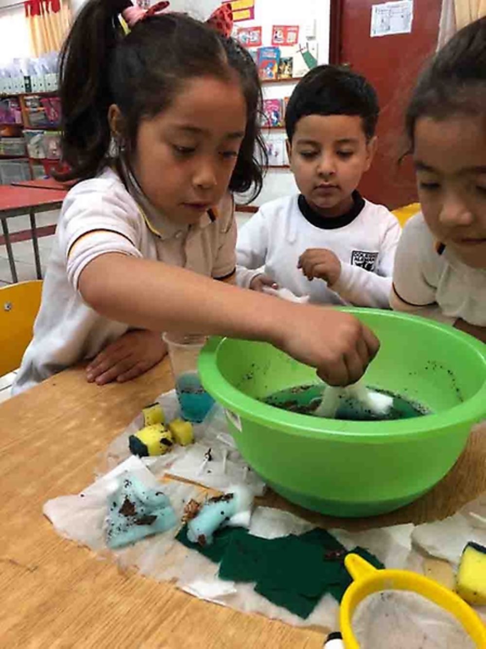 La reciente conferencia internacional y el programa ECBI son algunas de las instancias desarrolladas por la U. de Chile en materia de educación en cambio climático.