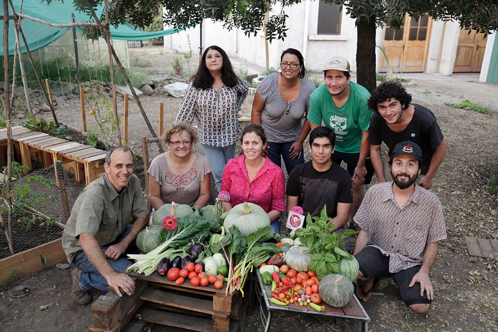 Desde el 1 de julio al 12 de agosto es el plazo para postular al Fondo Concursable Valentín Letelier (FVL) 2019.