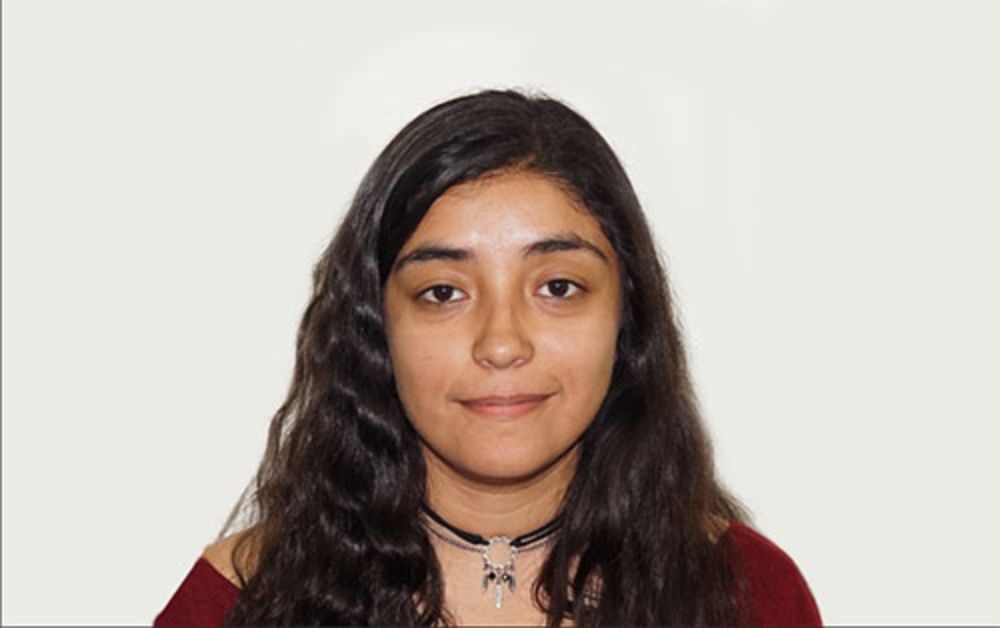 Valeska Zambra, estudiante de FCFM, fue distinguida el año por la Royal Society de Gran Bretaña por sus fotografías microscópicas basadas en su trabajo sobre vórtices en cristales líquidos.