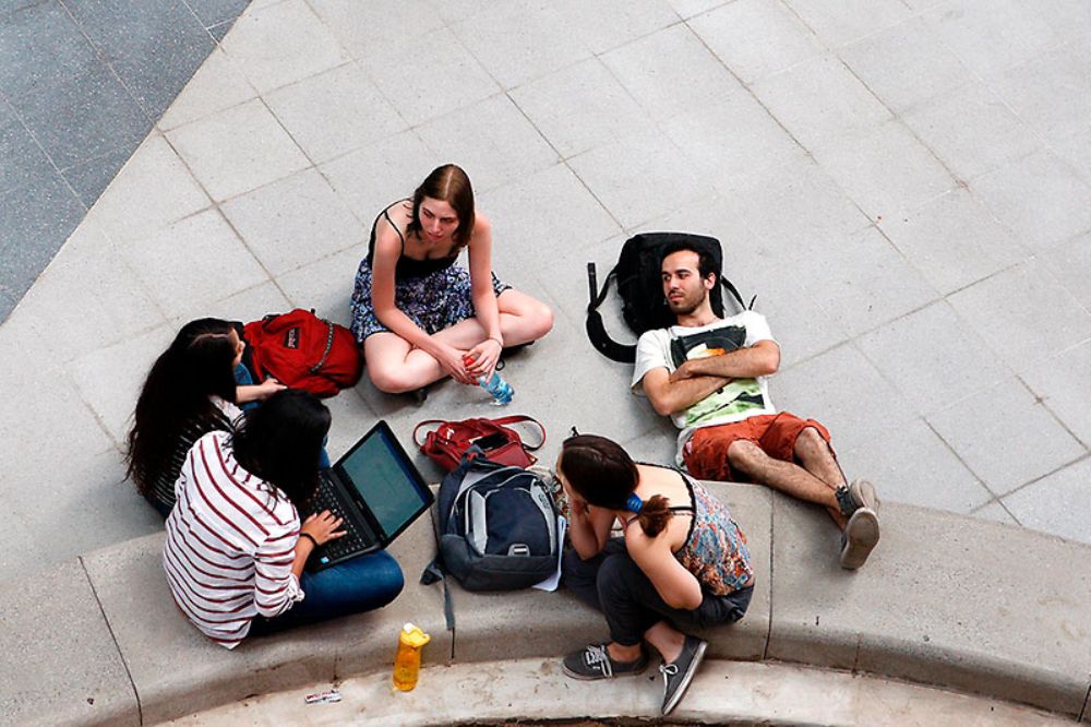Los cursos propuestos abordarán diferentes disciplinas desde el enfoque de género. 