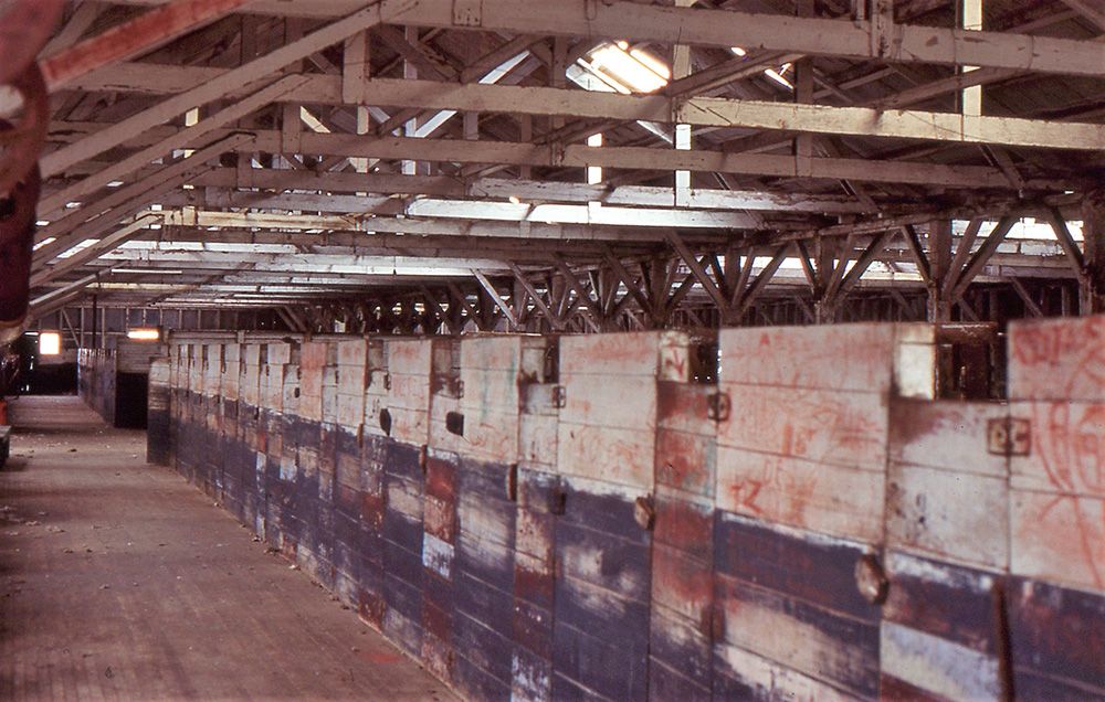 La publicación busca rescatar la historia y el patrimonio de la Región de Magallanes, que a comienzos del siglo XX se convirtieron en el epicentro de la industria ovina.