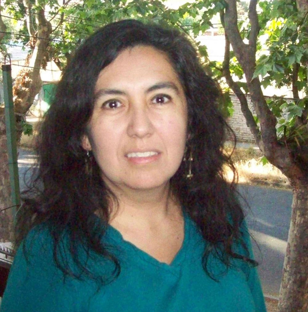 Ximena Olmos, del Instituto de Estudios Internacionales (IEI), indicó que "el tema del cambio climático es hoy día el principal desafío global".