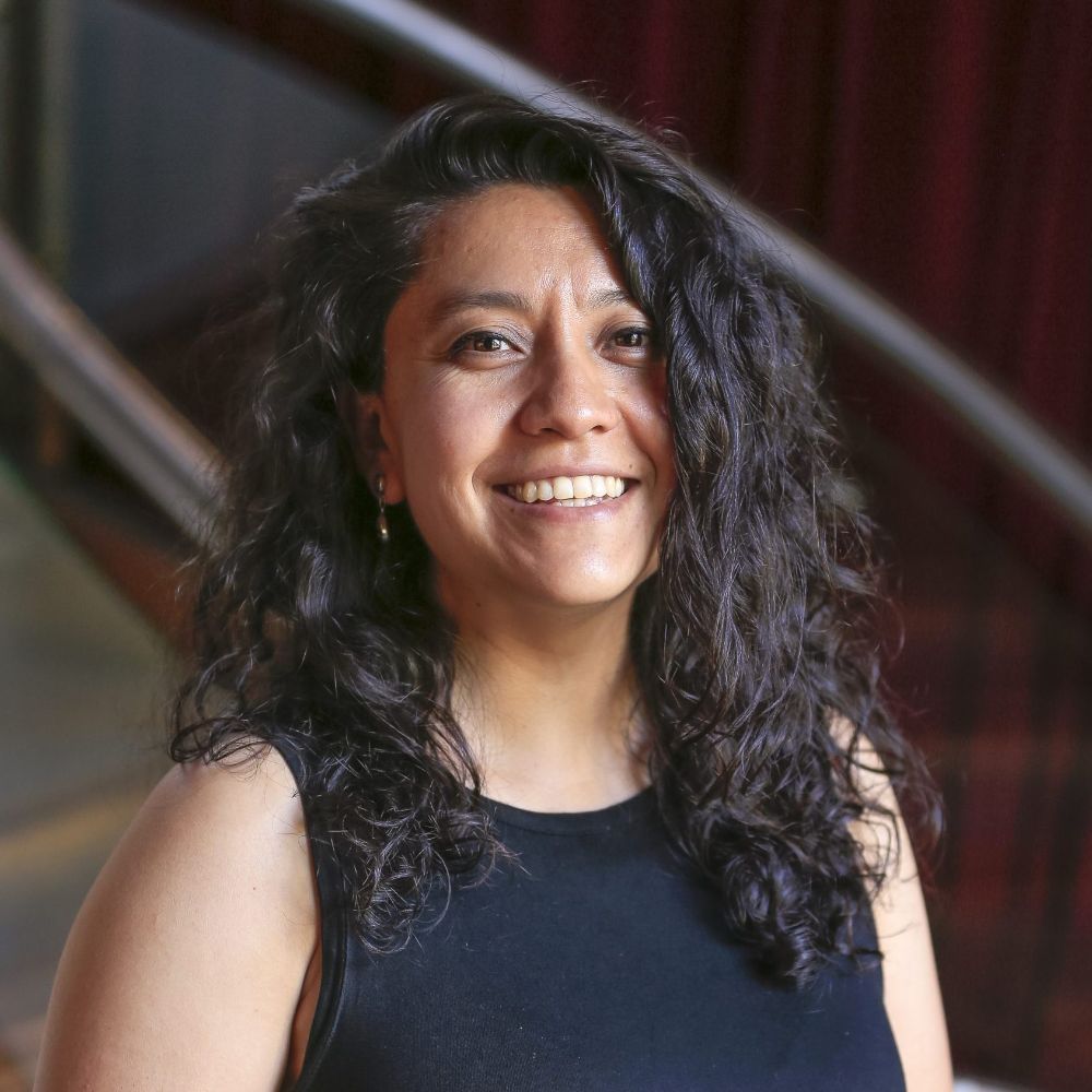  Karla Palma, del Instituto de la Comunicación e Imagen (ICEI), advirtió que si decimos hay una crisis climática, "bueno, hay que decir quién causa la crisis".