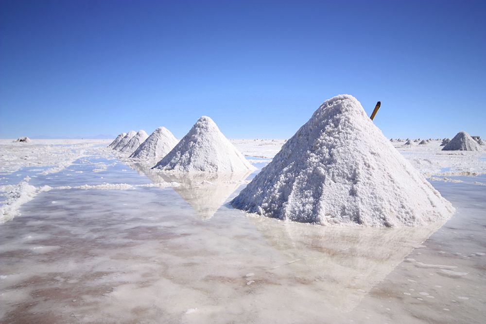 La "Red Litio y Salares: Ciencia y Futuro" busca que el conocimiento científico-académico pueda ponerse al servicio del país para desarrollar mejores políticas públicas en la materia. 