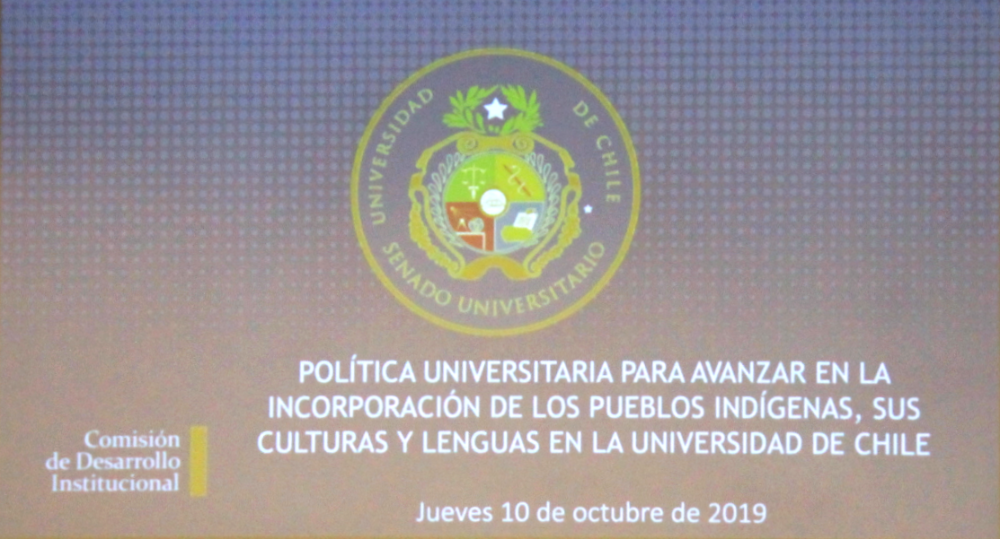 Sesión donde se aprobó Política de Pueblos Indígenas