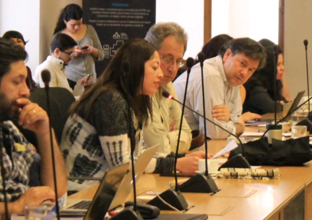 Millaray Huaquimilla Neyra, senadora universitaria estudiantil de la Facultad de Derecho y Secretaria General de la FECH