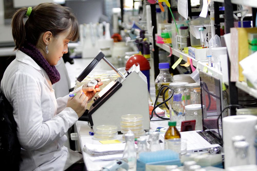 La privatización del modelo de investigación científica instalado en Chile, es uno de los temas que el profesor Gutiérrez cuestiona y propone reflexionar en medio de la actual crisis del país. 