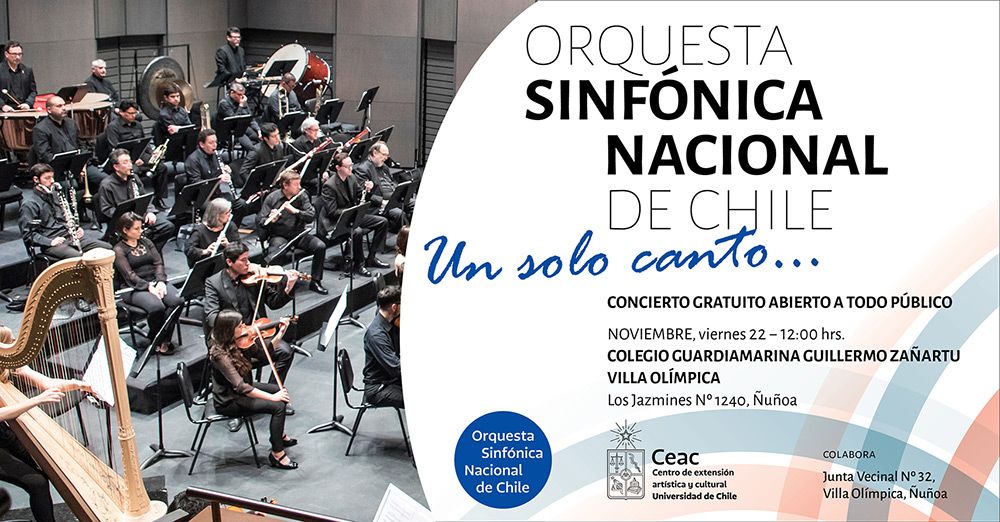 La actividad cuenta con la colaboración de la Junta de Vecinos N°32 de la Villa Olímpica.