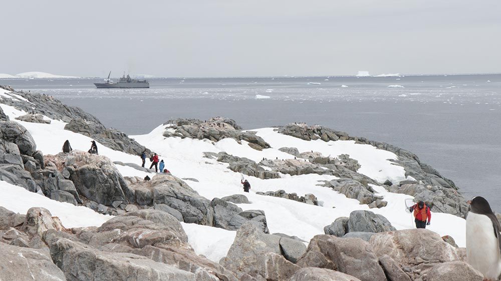 Virus antárticos podrían estar entrando en contacto con nuevas especies cuyos ciclos migratorios se están viendo alterados por el cambio climático. 