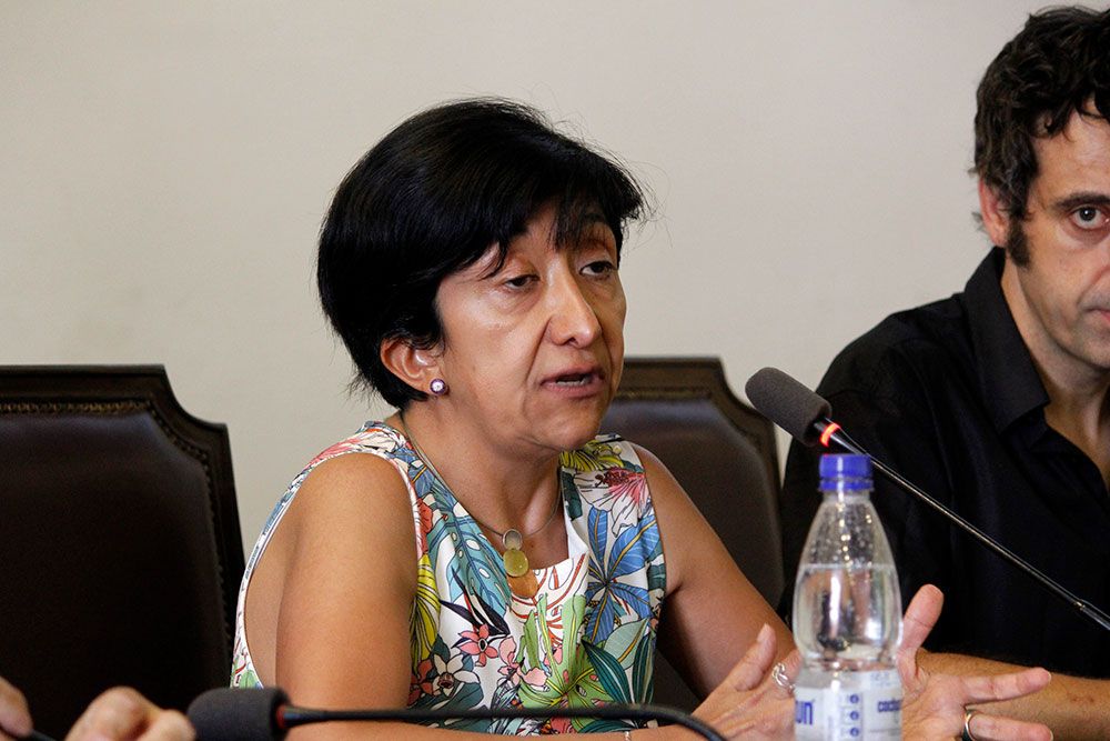 "Observamos la responsabilidad de agentes privados, en este caso las empresas prestadoras de servicios y sus algoritmos", afirmó la académica del ICEI de la U. de Chile, Patricia Peña.