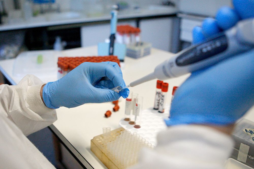 El Programa de Virología del ICBM sumará sus capacidades para la realización de test para detectar la presencia de coronavirus Sars-CoV-2.