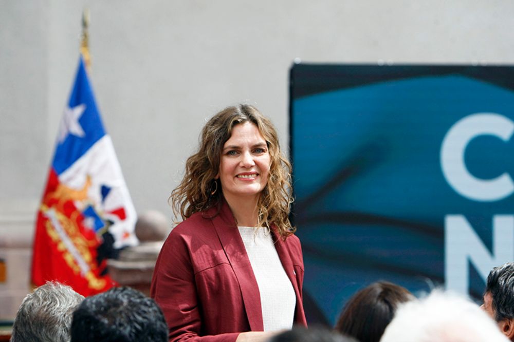 Seis son los laboratorios universitarios del país que se sumarán al diagnóstico del SARS Cov2, detalló la subsecretaria Torrealba. 