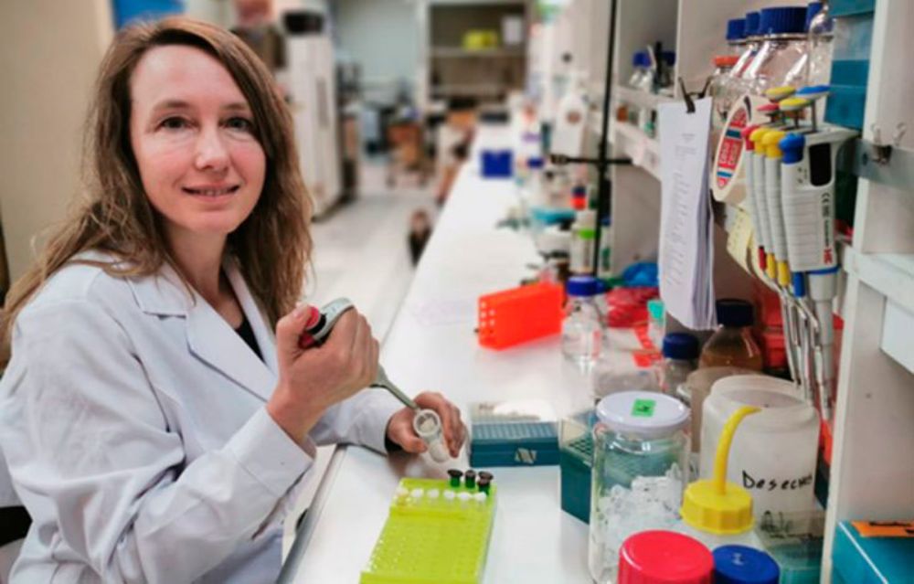 "Buscamos aportar a una agricultura sustentable utilizando la biotecnología para mejorar especies frutales de un alto valor económico para nuestro país", comenta sobre el proyecto la profesora Stange.