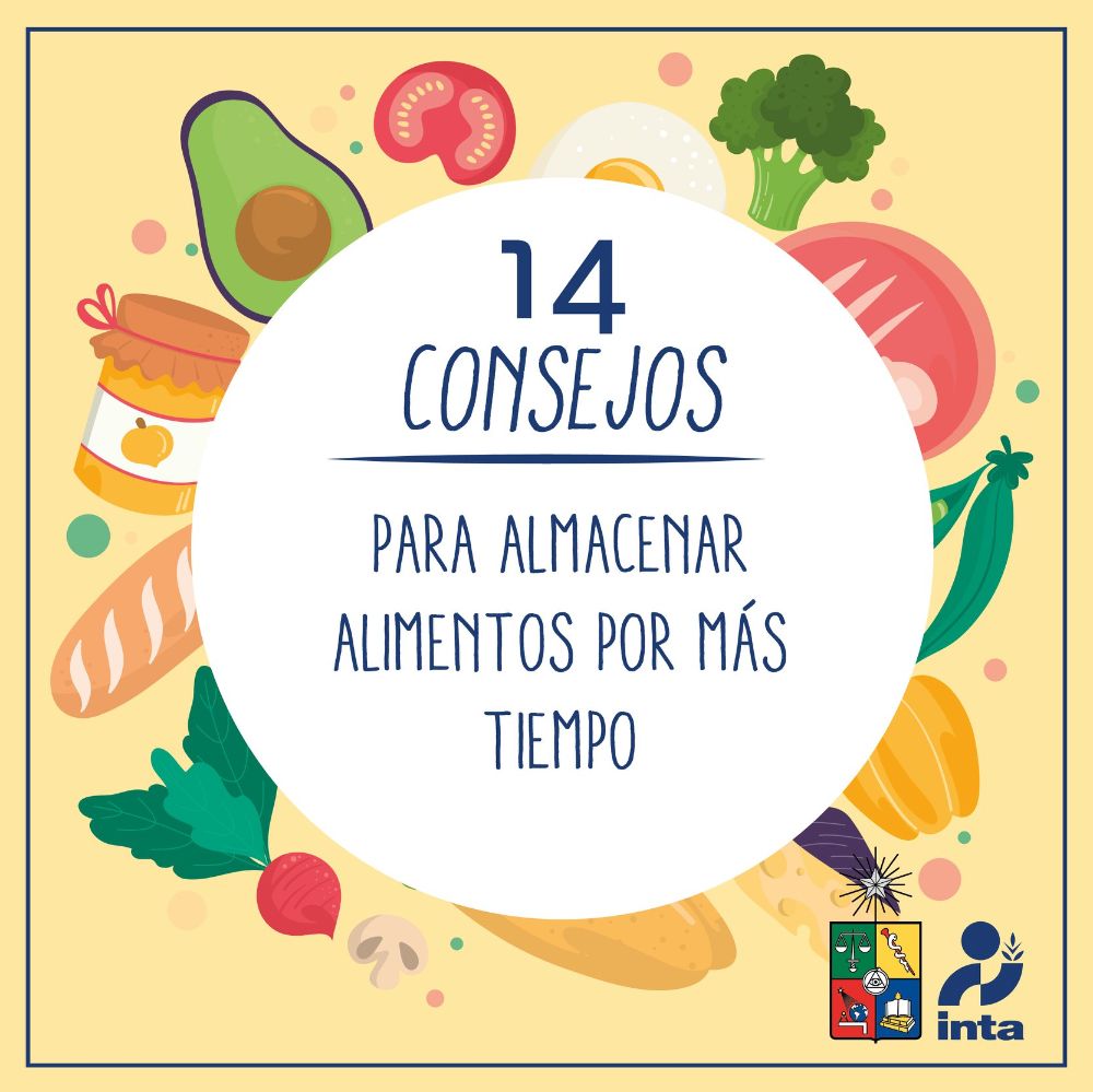 Las académicas Angélica Reyes y Magaly Toro del INTA de la U. de Chile, prepararon una serie de recomendaciones para la conservación de los alimentos.