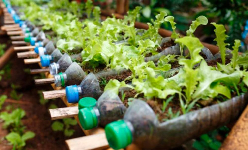 "Reducir, Reutilizar y Reciclar", son clave para disminuir la cantidad de residuos que se irán a reciclaje y a rellenos sanitarios.