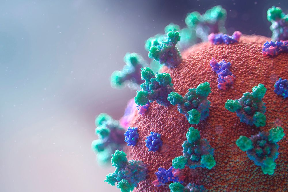 "Lo central es que la vida debe estar por sobre cualquier otro interés, especialmente en este tipo de emergencias".