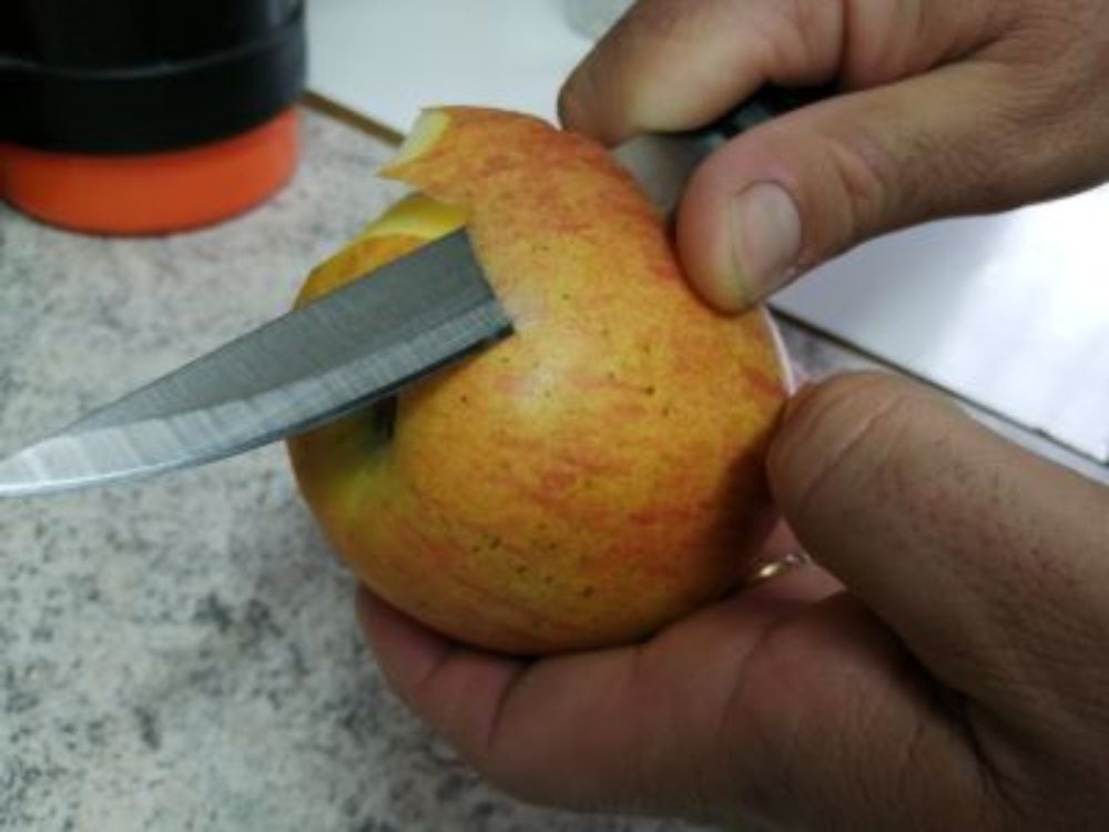 Muchos residuos orgánicos que van directo a la basura podrían ser reutilizados con esta técnica. 