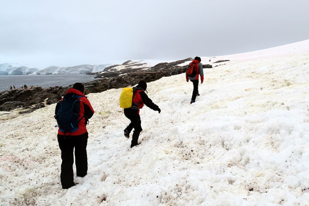 Para ello trabaja junto a las Dras. Rosalba Lagos y Macarena Varas en un proyecto analizando bacterias resistentes a antibióticos en la Antártica.