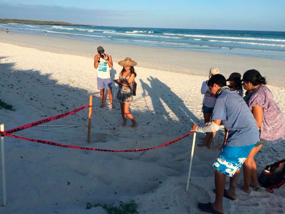 La metodología de la indagación es la que utiliza el equipo encabezado por Ana María Loose.