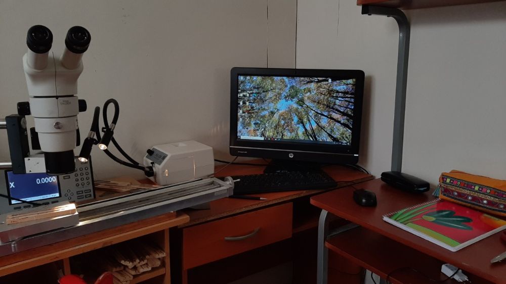 Desde que se decretó la cuarentena, continúa su trabajo desde su pieza, estudiando los cambios ambientales en la zona del Glaciar de Grey, a través del análisis de los anillos de los árboles de lenga.