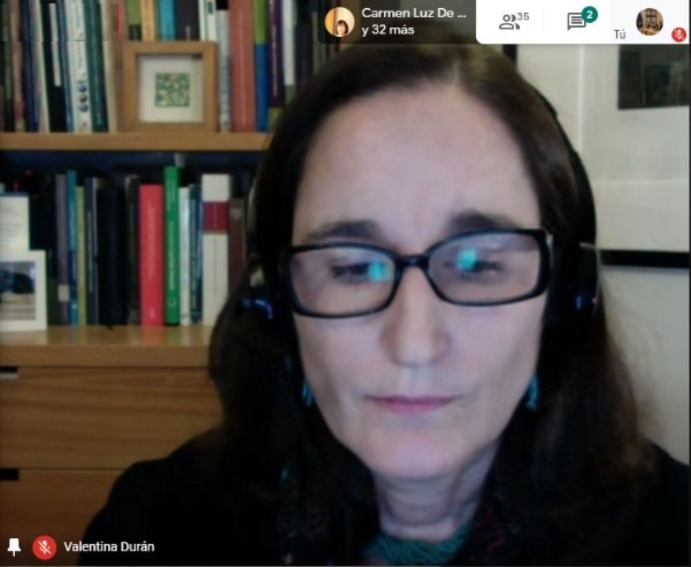 La profesora de la Facultad de Derecho, Valentina Durán, directora del Centro de Derecho Ambiental.