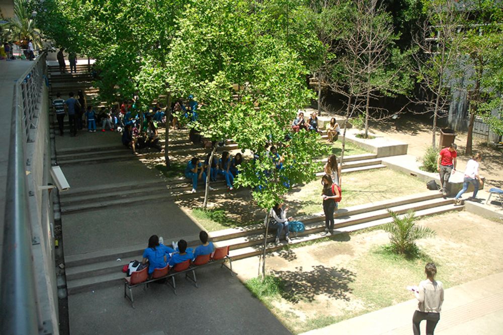 La Universidad de Chile asume compromisos a desarrollar al interior de su comunidad y establece una orgánica triestamental y transversal 