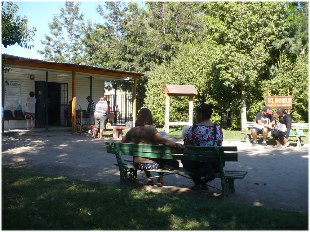 Centro de Salud Veterinaria (Cesave) El Roble, ubicado en la comuna de La Pintana,