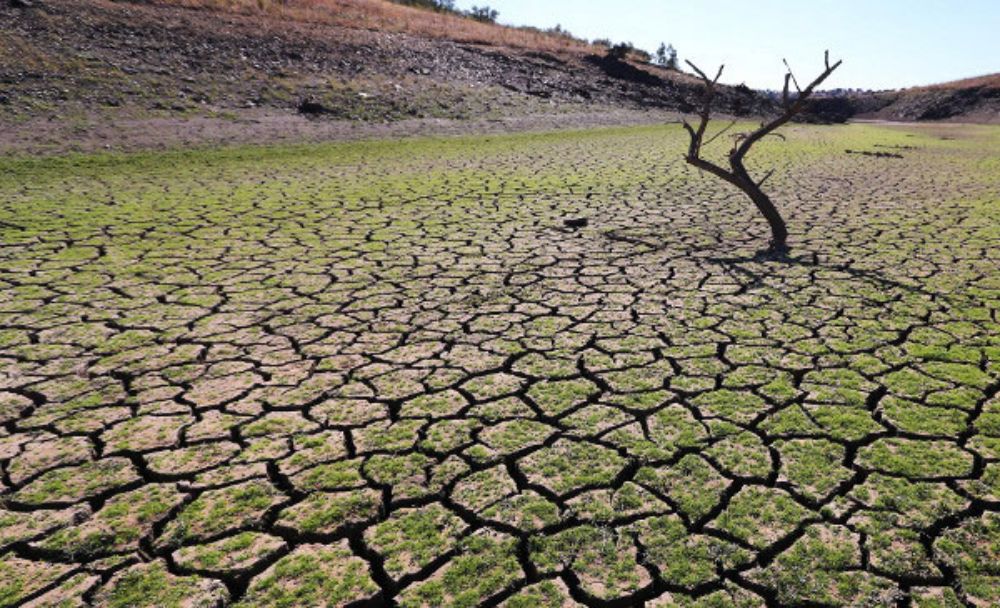 Los cursos realizados hasta el minuto han abordado temas relevantes para nuestro país y región como los movimientos migratorios, desastres naturales, cambio climático, medio ambiente, entre otros.