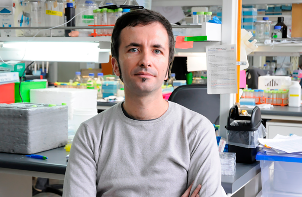 Académico de la Facultad de Medicina y director del Instituto de Neurociencia Biomédica, Claudio Hetz.