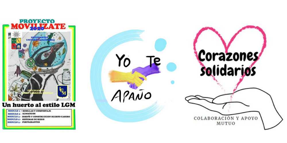 Cada proyecto ha diseñado su imagen corporativa y las formas de comunicación de su iniciativa.