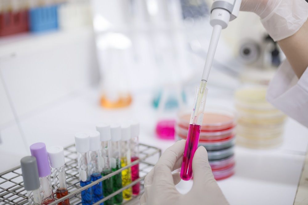 La Casa de Bello lideró por décimo año consecutivo el Concurso Fondecyt Iniciación, y por cuarto año el Concurso Fondequip Mediano. En total serán ejecutados 39 proyectos de investigación.