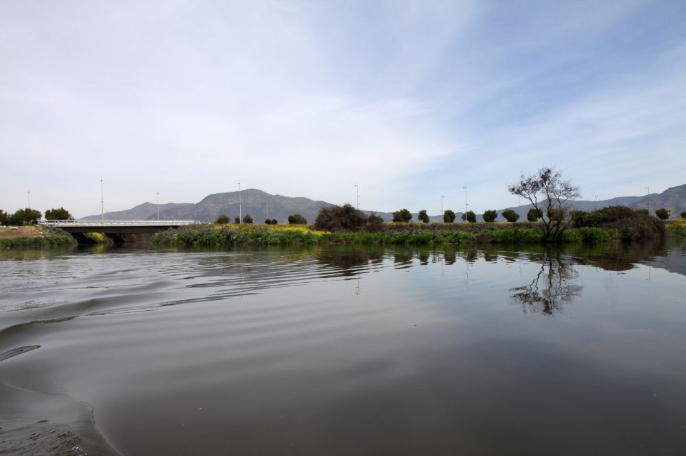 Desde el plantel, se ha instado a la importancia de generar un espacio que permita la elaboración de vacunas propias, a través de un centro especializado en el Parque Académico Laguna Carén. 