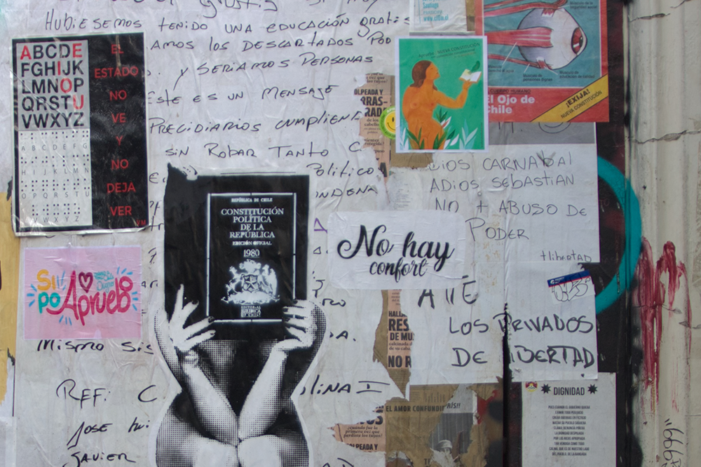 De acuerdo al estudio elaborado por uno de los laboratorios, el 41,2% de la población considera muy importante que la constitución asegure la protección de los ecosistemas patagónicos.