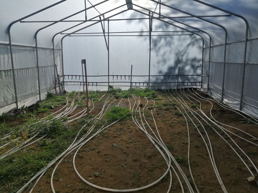 La calefacción de casas y edificios, la producción de agua caliente sanitaria y la ayuda en la producción de alimentos son algunas de las otras aplicaciones que pueden aprovechar las aguas termales.