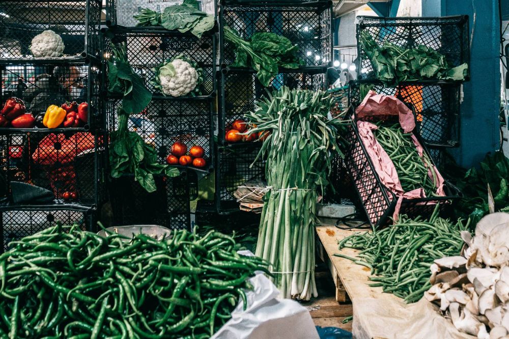 Actores del sistema alimentario consideran que incorporar el Derecho a la Alimentación en la nueva Constitución podrá dar continuidad a las políticas públicas en la materia.