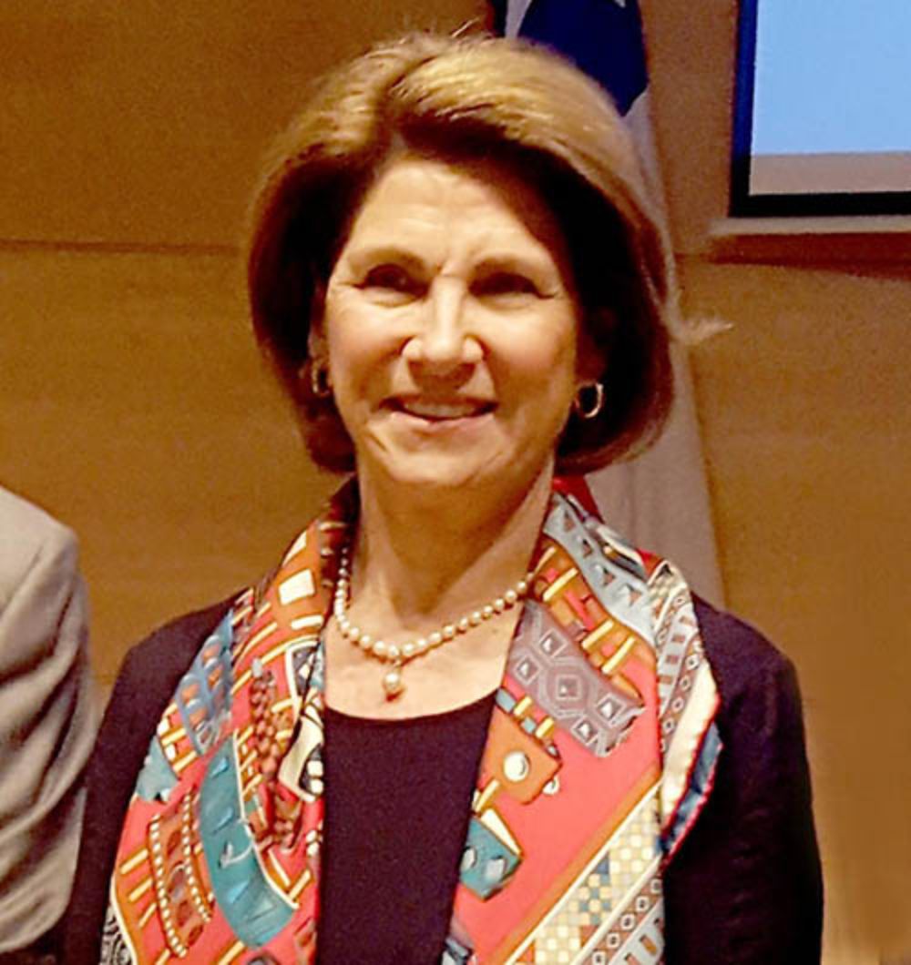 En opinión de la profesora García, una comisión específica para destrabar conflictos y resolver tensiones podría permitir ¿darle coherencia al texto".