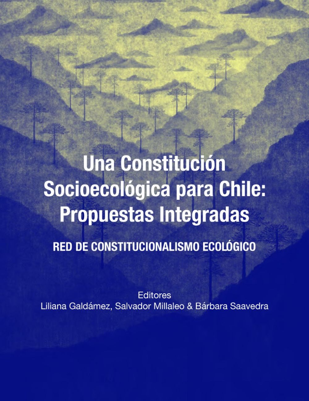 La publicación reúne una amplia diversidad de miradas de distintas disciplinas sobre esta materia, con el objetivo de contribuir al debate de este tema en el proceso constituyente.