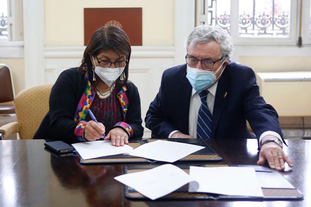 La presidenta de la Convención, Elisa Loncon, dijo que este paso "nos permite el terreno institucional sólido para trabajar en este trayecto que tenemos para escribir la nueva Constitución".